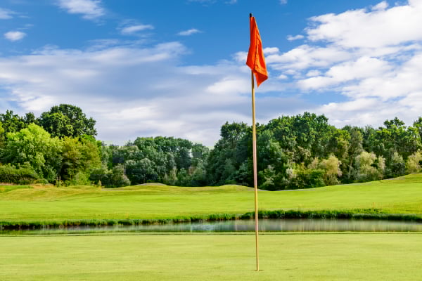 Golf Equipment Maker Protects $5.5M in Parcel Spend