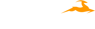 TransImpact Logo - White sans-serif type with orange deer icon in upper right
